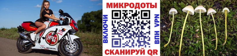 Псилоцибиновые грибы MAGIC MUSHROOMS  где можно купить   Надым 