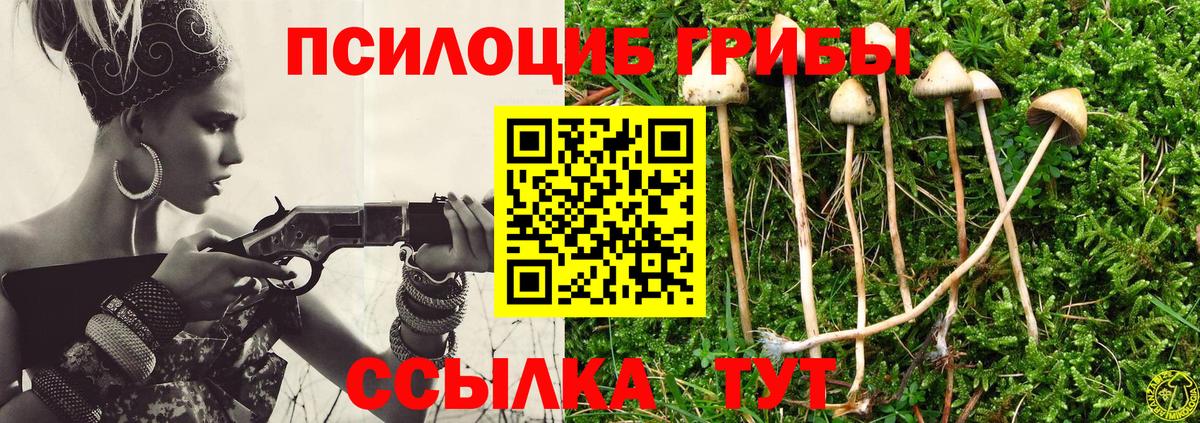 где продают наркотики  Вход с VPN  Надым  Псилоцибиновые грибы MAGIC MUSHROOMS 