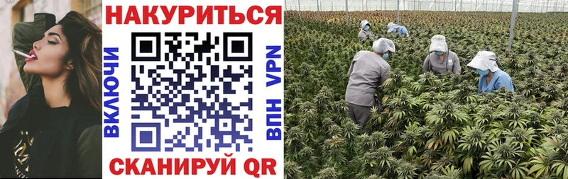 hydra ССЫЛКА  Надым  Марихуана Bruce Banner  наркотики 